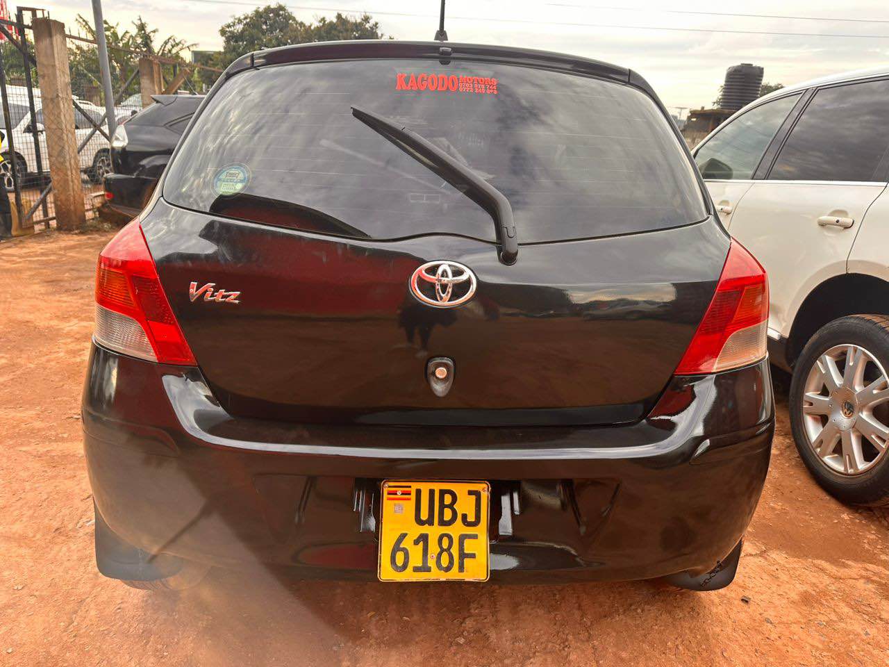 A picture of Vitz