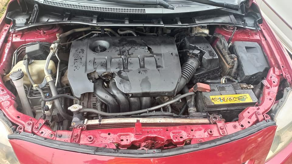 used toyota corolla