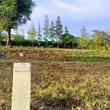 A picture of Imebaki moja tu kiwnja kimenyooka kinauzwa kisongo arushaa