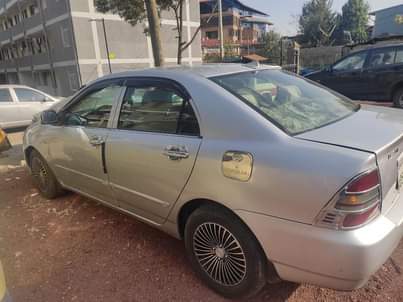 cars