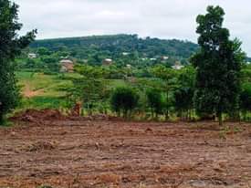 A picture of 50by100 with ready land title At 30m. Nkowe wakiso.