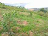 A picture of Plot for sale Price 5 5millions