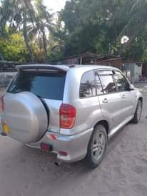A picture of Rav4