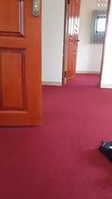 A picture of Wall wall woolen carpet for offices homes churches mosques etc