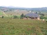 A picture of 50x100ft Wakiso Kakiri gobero mainroad plots Ready private mailo titles