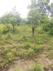 A picture of Shamba la eka 100 linauzwa shamba hili lipo hapa mbwewe