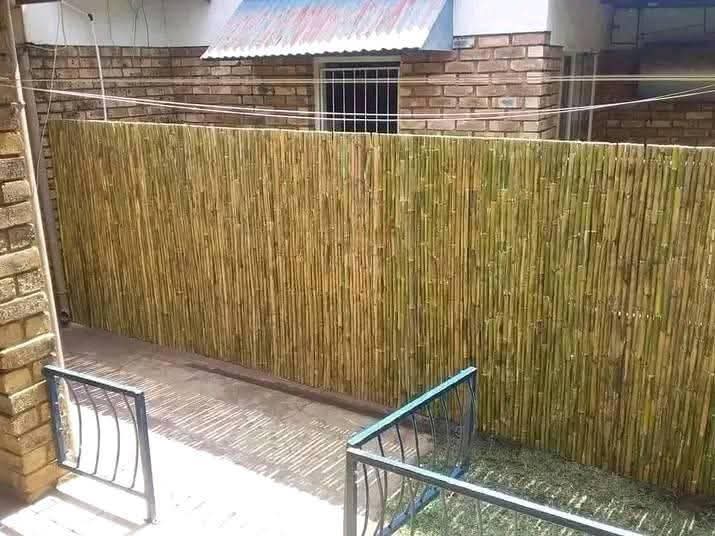 bamboo bed