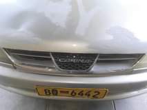 Boika M.
