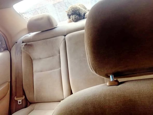 A picture of 010 Honda city