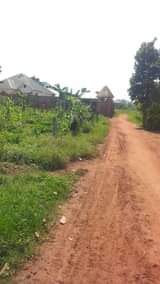 A picture of Muje Mbaguze Plots Lands Houses land surveying and Title processing
