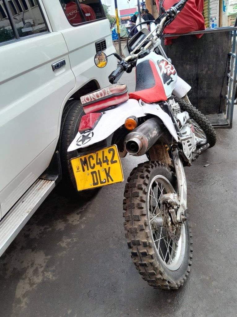 A picture of XR 250