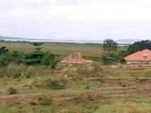 A picture of Bweya Jjanyi acre for quick sale