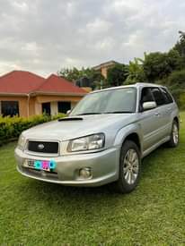 A picture of Subaru forester crossport