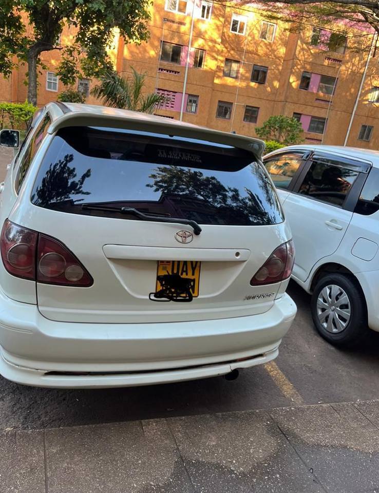 A picture of Harrier 2 2