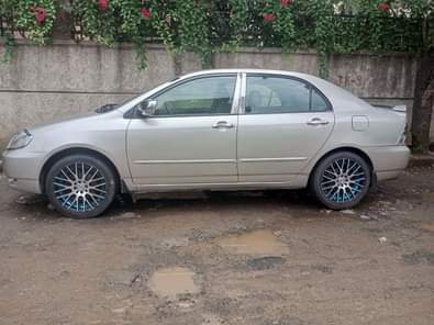 used toyota corolla