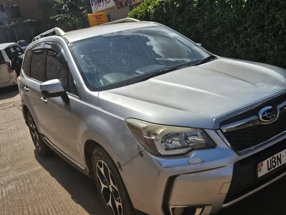 A picture of Forester