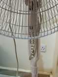 A picture of lucid good condition