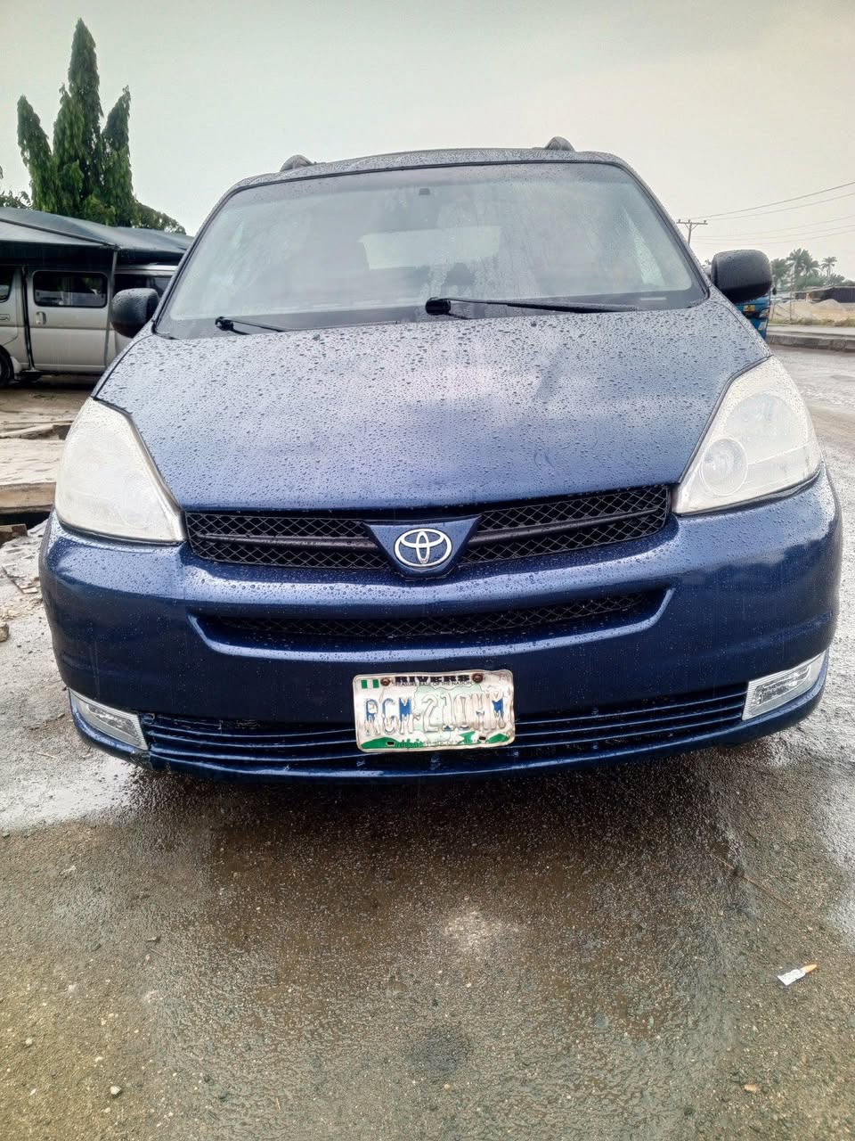 A picture of 06 Sienna