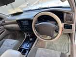 A picture of Landcruiser Amazon