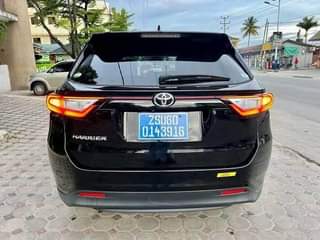 A picture of Harrier 2018