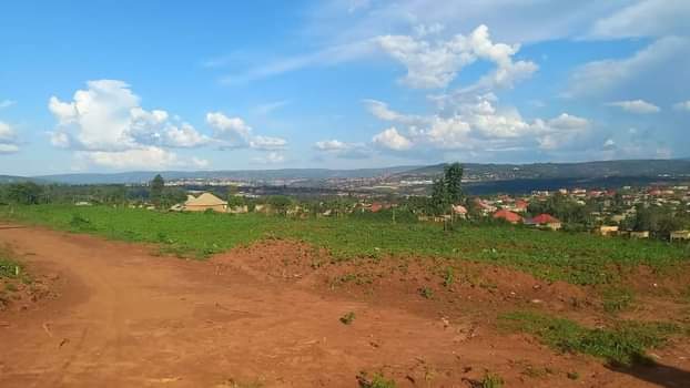 kinyinya accommodation