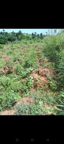 A picture of Land Property For Sale