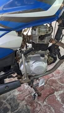 A picture of TVS CC 125