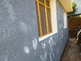 A picture of Panapangishwa
