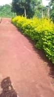 A picture of Nice plot for sale Price 5 7millions