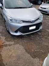 Sales M.