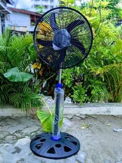 fans