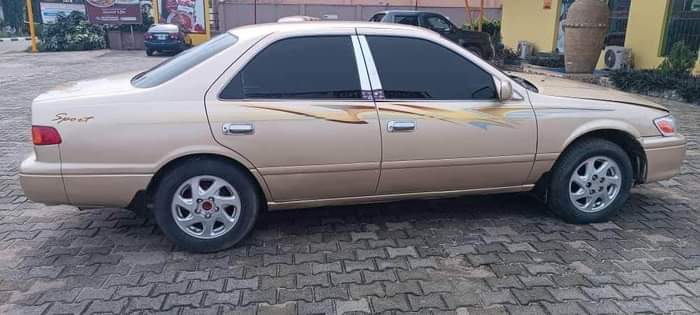 A picture of Dyoung cars
