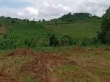 A picture of Get a plot of land at only 2 m shs