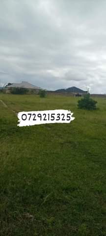 plots mariakani