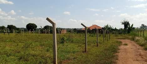 A picture of Plots on sale Busukuma kiwenda Busiika ready tittles