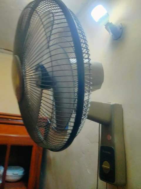 fans