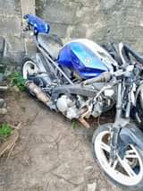 A picture of Omo Raji