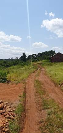 A picture of Unlock the potential of prime land at Nakiwogo Kasanje Half
