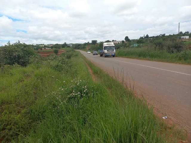 Nasar U.
