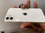 A picture of IPHONE 11 PLAIN