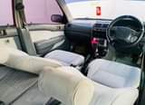 A picture of starlet