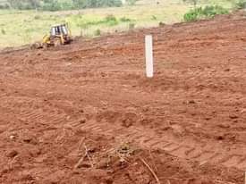 A picture of MAZIMA BISOBOKA get your own plot to day New site