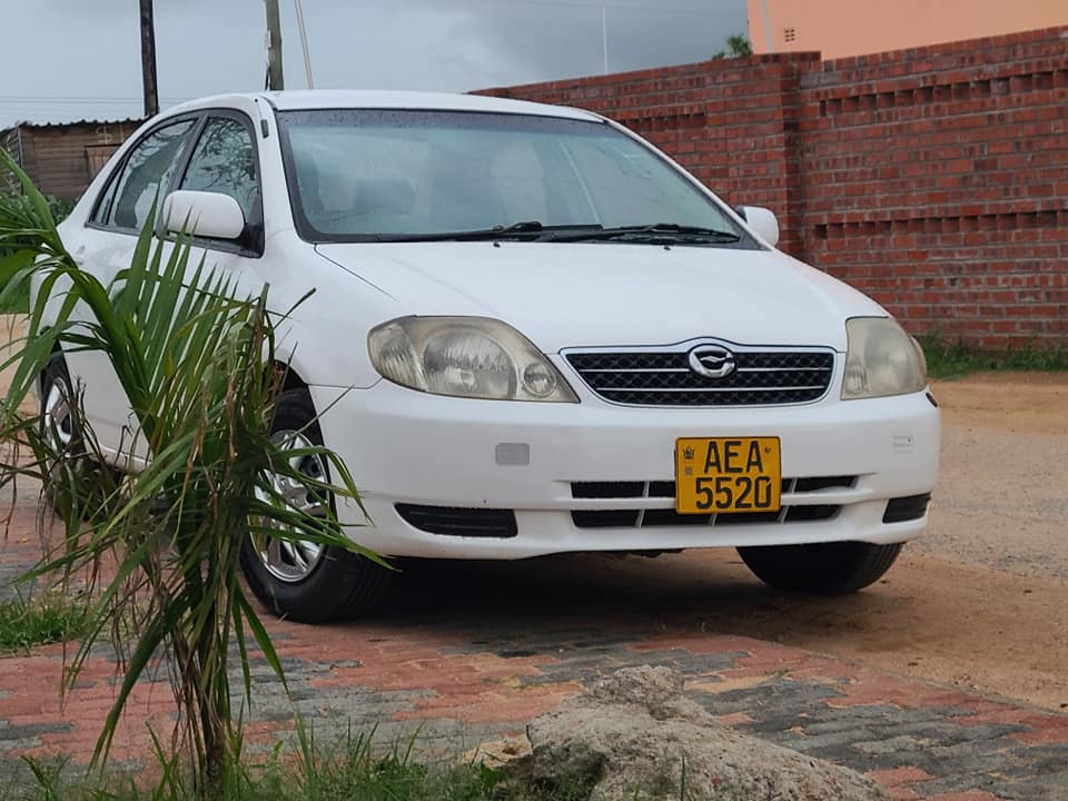 toyota corolla bubble