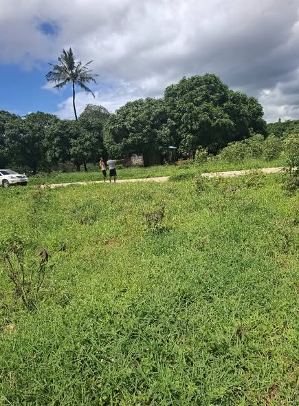 A picture of Prime Plots For Sale with Freehold Titledeed