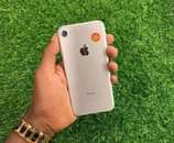 A picture of iPhone 7