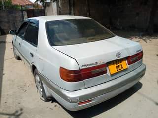A picture of premio M.1.8