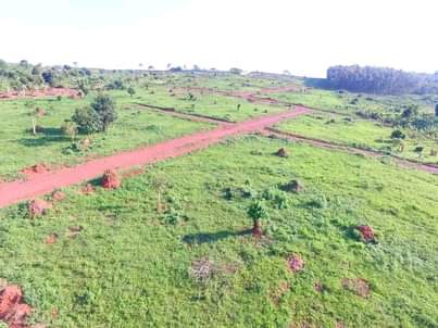 A picture of Commercial and Residential plots for sale