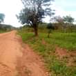 A picture of  2.5 ACRE S Land title FOR SALE IN GAYAZA