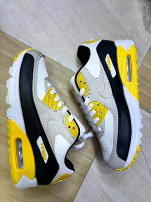 A picture of Airmax