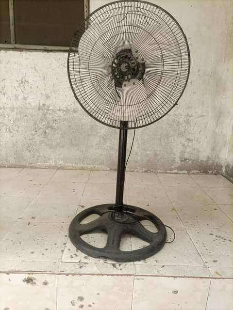 A picture of Feni